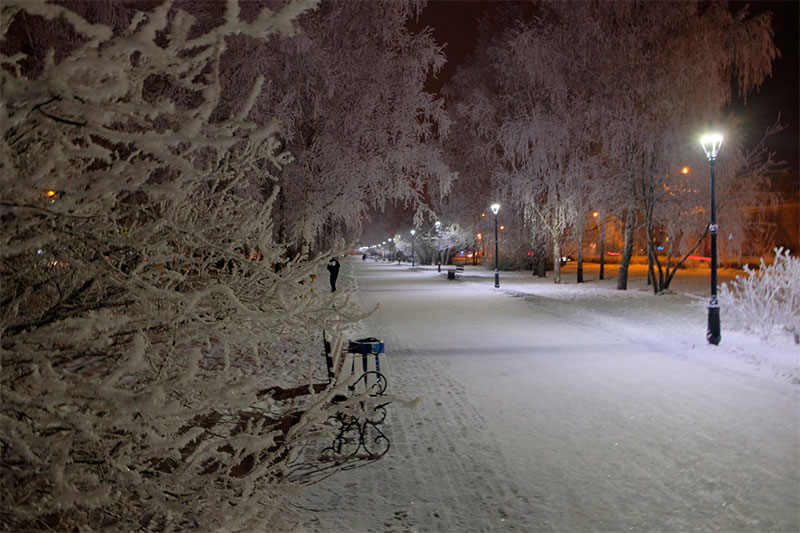 Красивые картинки зимы в городе (20 фото)