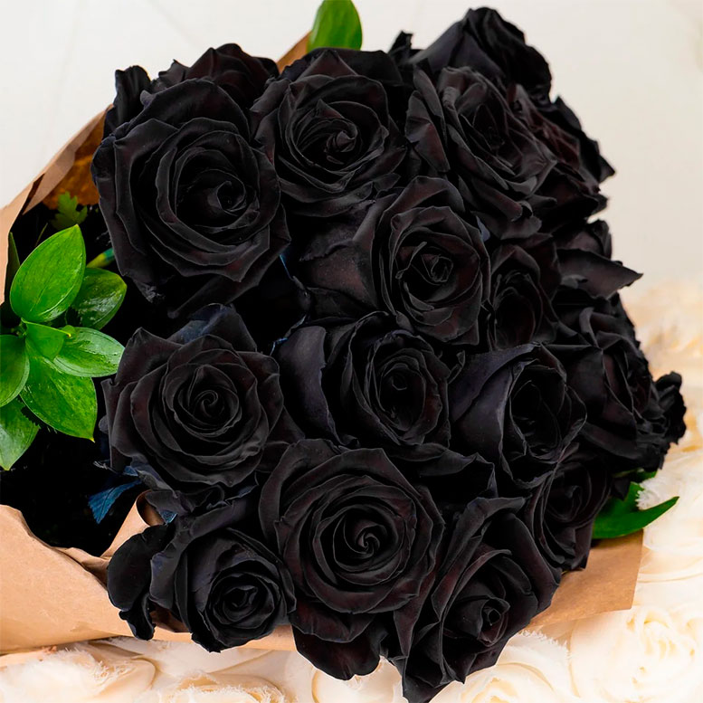 Удивительные черные розы (10 фото)
