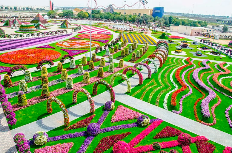 Необыкновенно красивый парк цветов в Дубае