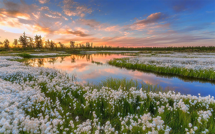 Природа, Россия (24 фото)