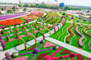 Read more about the article Необыкновенно красивый парк цветов в Дубае