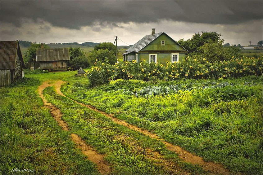 Русская деревня (12 фото)