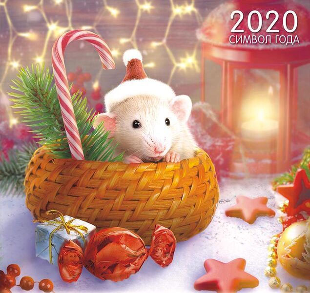 Новый 2020 год крысы (10 фото)
