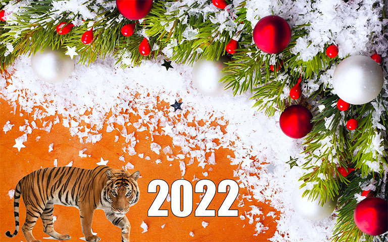 Новый год 2022, Тигр (20 фото)