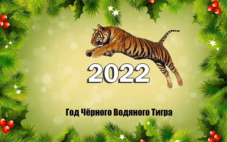Новый год 2022, Тигр (20 фото)