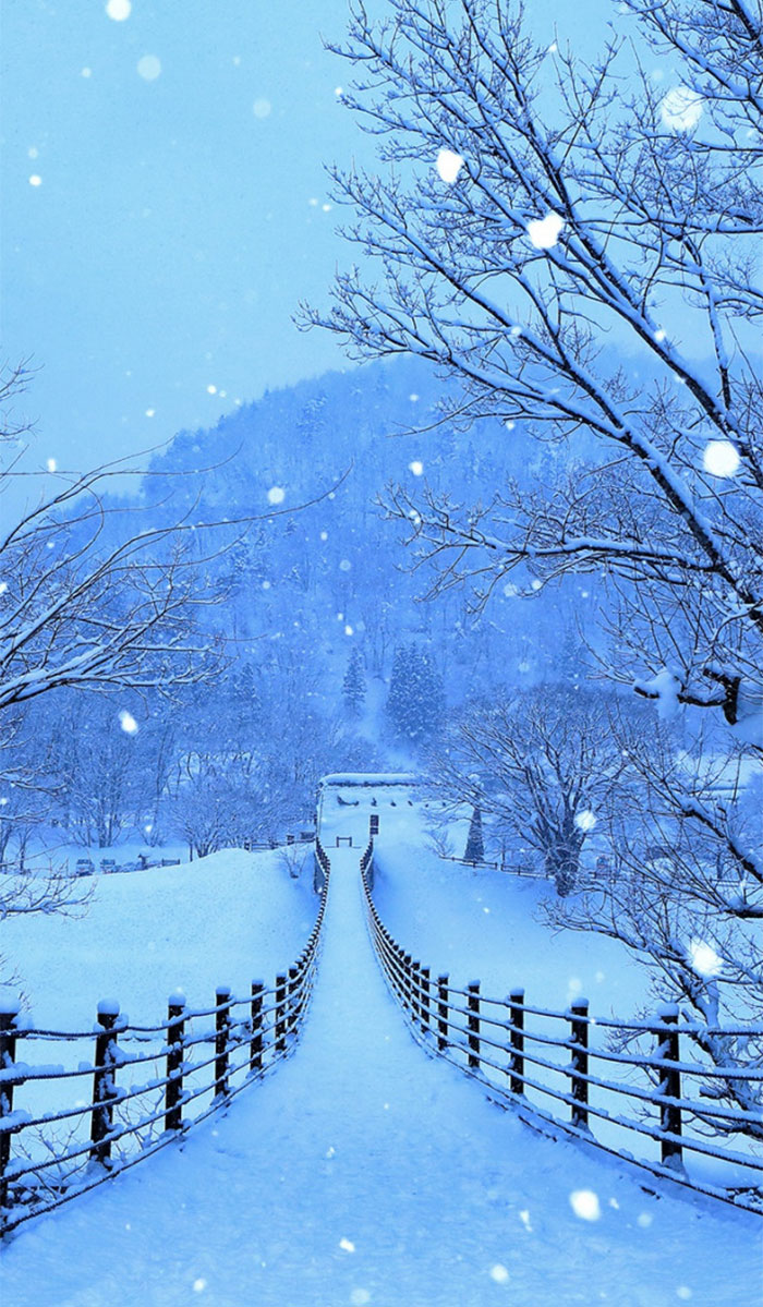 Картинки зимы на телефон (24 фото)